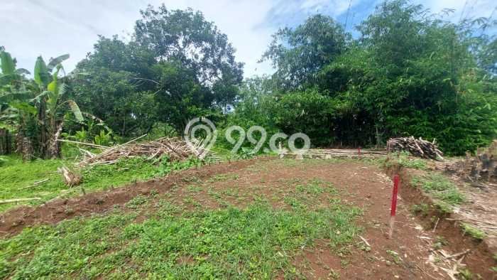 Kavling Tanah Dijual di Cisauk Tangerang Spesifikasi 117m2 Kavling Tanah Dijual di Cisauk Tangerang Spesifikasi 117m2