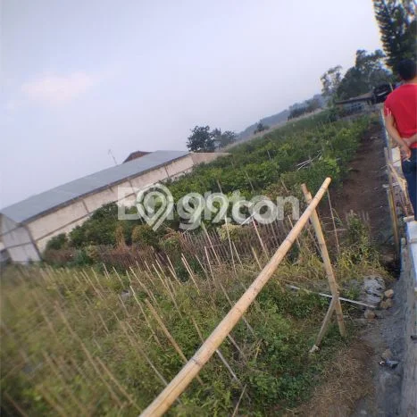 Kavling Tanah untuk Dijual di Dieng, Malang, Luas 887m2 Kavling Tanah untuk Dijual di Dieng, Malang, Luas 887m2
