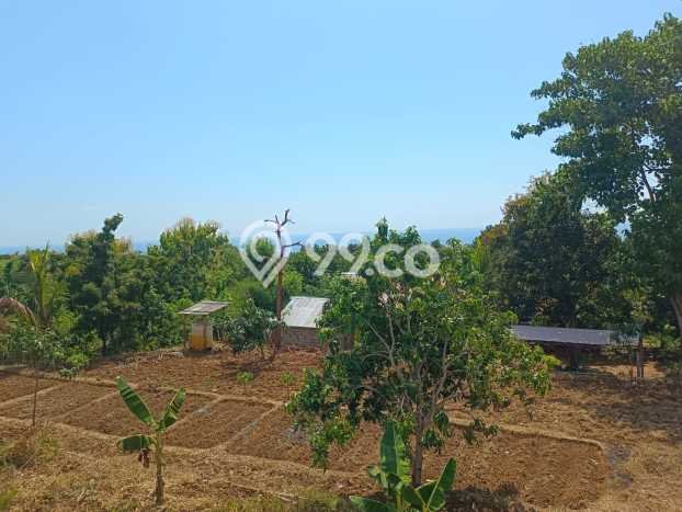 Lahan Dijual Lokasi Kubutambahan, Buleleng dengan Luas Tanah 87000m2 dan Status SHM Lahan Dijual Lokasi Kubutambahan, Buleleng dengan Luas Tanah 87000m2 dan Status SHM