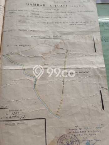 Lahan Dijual Lokasi Kubutambahan, Buleleng dengan Luas Tanah 87000m2 dan Status SHM Lahan Dijual Lokasi Kubutambahan, Buleleng dengan Luas Tanah 87000m2 dan Status SHM