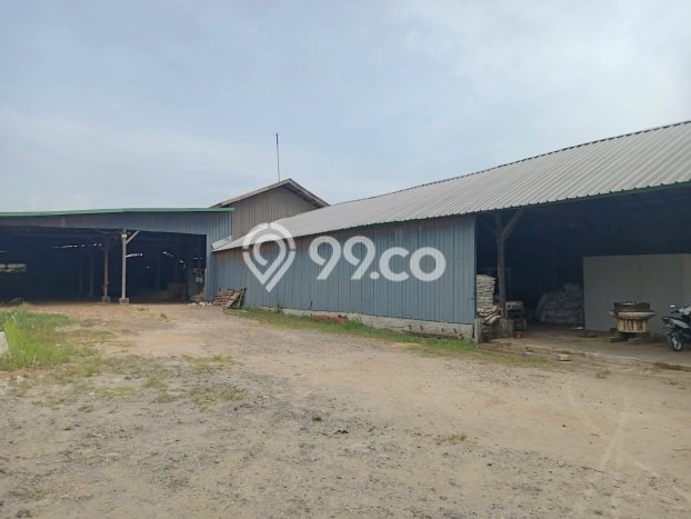 Gudang Dijual Lokasi Stratagis di Kasemen Serang Cocok untuk Investasi Gudang Dijual Lokasi Stratagis di Kasemen Serang Cocok untuk Investasi