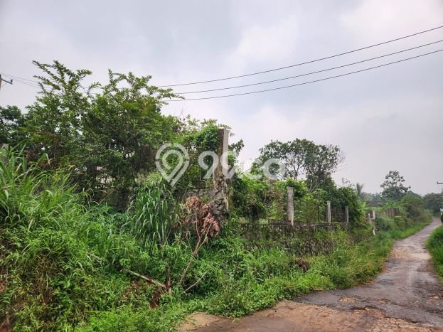 Rumah Mewah Dijual LT 3041m2 di Kemang, Bogor Rumah Mewah Dijual LT 3041m2 di Kemang, Bogor