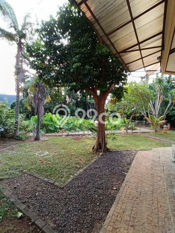 Siap Huni Rumah Mewah 7 Kamar di Jagakarsa Dekat ke Mana Pun Siap Huni Rumah Mewah 7 Kamar di Jagakarsa Dekat ke Mana Pun