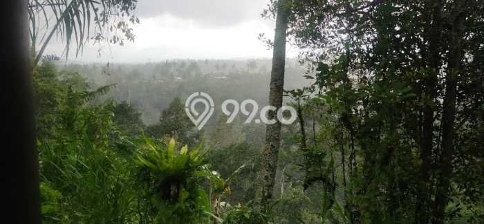 Tanah Kosong Dijual di Gianyar dengan Area 4418m2 Tanah Kosong Dijual di Gianyar dengan Area 4418m2