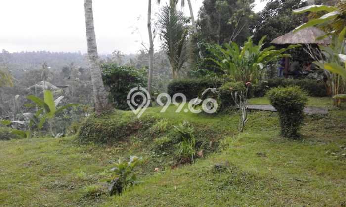 Tanah Kosong Dijual di Gianyar dengan Area 4418m2 Tanah Kosong Dijual di Gianyar dengan Area 4418m2