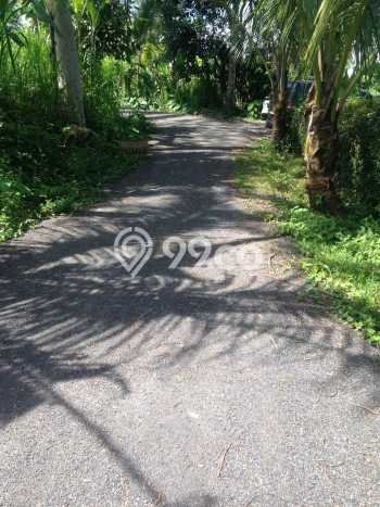 Tanah Kosong Dijual di Gianyar dengan Area 4418m2 Tanah Kosong Dijual di Gianyar dengan Area 4418m2