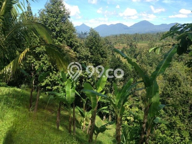 Tanah Kosong Dijual di Gianyar dengan Area 4418m2 Tanah Kosong Dijual di Gianyar dengan Area 4418m2