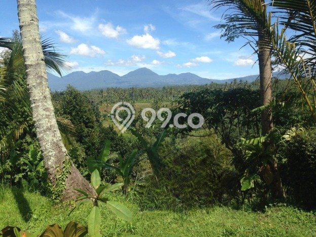 Tanah Kosong Dijual di Gianyar dengan Area 4418m2 Tanah Kosong Dijual di Gianyar dengan Area 4418m2
