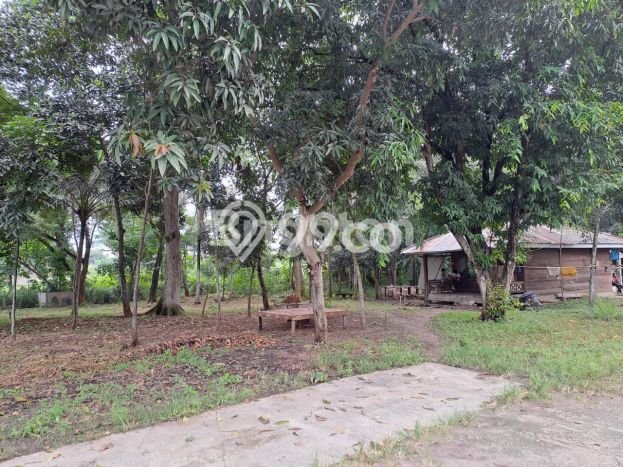 Jarang Ada! Tanah di Cikande Punya Luas 21395m2 SHM Jarang Ada! Tanah di Cikande Punya Luas 21395m2 SHM