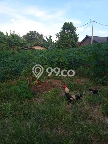Tanah Komersial Dijual di Rajabasa Bandar Lampung 289m2 Tanah Komersial Dijual di Rajabasa Bandar Lampung 289m2