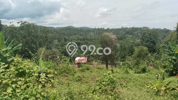 Kavling Tanah untuk Dijual di Teluk Betung Timur, Bandar Lampung, Luas 9316m2 Kavling Tanah untuk Dijual di Teluk Betung Timur, Bandar Lampung, Luas 9316m2