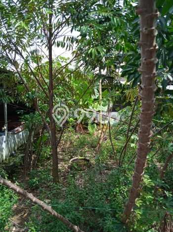 Area Ramai! Ruko Dijual di Tanjung Senang untuk Bisnis Luas Bangunan 40m2 Area Ramai! Ruko Dijual di Tanjung Senang untuk Bisnis Luas Bangunan 40m2