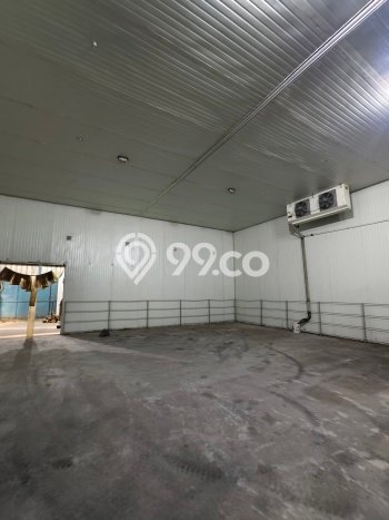 PROSPEK BAGUS! Gudang Kawasan , Luas 1200m2m², Potensi ROI Tinggi PROSPEK BAGUS! Gudang Kawasan , Luas 1200m2m², Potensi ROI Tinggi