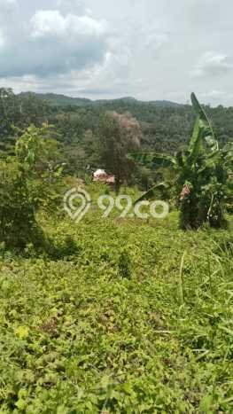 Kavling Tanah untuk Dijual di Teluk Betung Timur, Bandar Lampung, Luas 9316m2 Kavling Tanah untuk Dijual di Teluk Betung Timur, Bandar Lampung, Luas 9316m2
