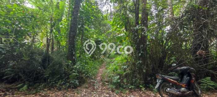 Lahan Investasi Lokasi Ubud Gianyar SHM Lahan Investasi Lokasi Ubud Gianyar SHM