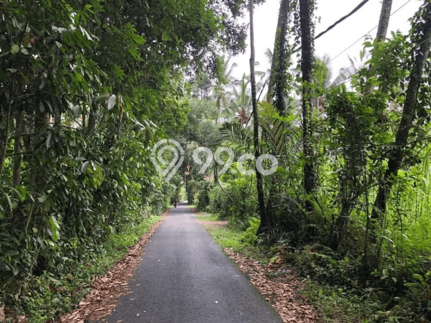 Lahan Investasi Lokasi Ubud Gianyar SHM Lahan Investasi Lokasi Ubud Gianyar SHM