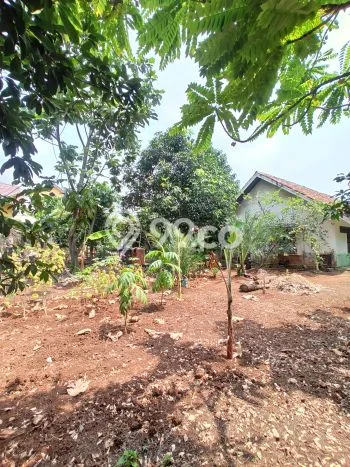 Jual Cepat Hunian Elegan Klasik di Jakarta Selatan Jual Cepat Hunian Elegan Klasik di Jakarta Selatan