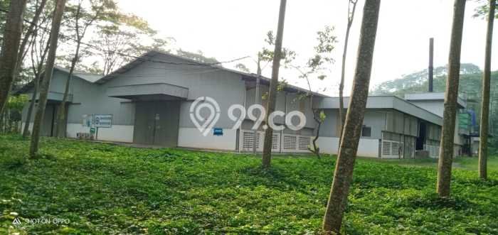 Pabrik Dijual Lokasi Stratagis di Banyuputih Batang Cocok untuk Investasi Pabrik Dijual Lokasi Stratagis di Banyuputih Batang Cocok untuk Investasi