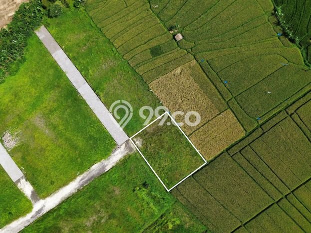 Tanah Premium di Beraban, Luas 555m², Akses Beraban, Tabanan, Tabanan Tanah Premium di Beraban, Luas 555m², Akses Beraban, Tabanan, Tabanan