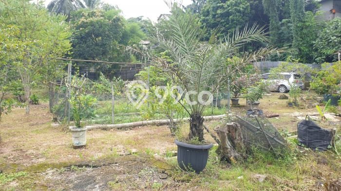 Tanah di Setu, Tangerang Selatan Luas 2120m2 Dijual Segera Tanah di Setu, Tangerang Selatan Luas 2120m2 Dijual Segera