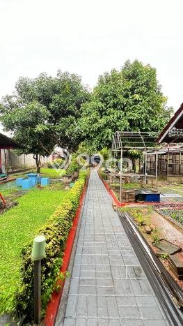 Dijual Rumah Premium dengan Fasilitas Sekitar Lengkap di BSD, Tangerang Selatan Dijual Rumah Premium dengan Fasilitas Sekitar Lengkap di BSD, Tangerang Selatan