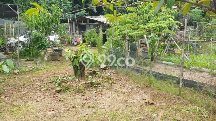 Tanah di Setu, Tangerang Selatan Luas 2120m2 Dijual Segera Tanah di Setu, Tangerang Selatan Luas 2120m2 Dijual Segera