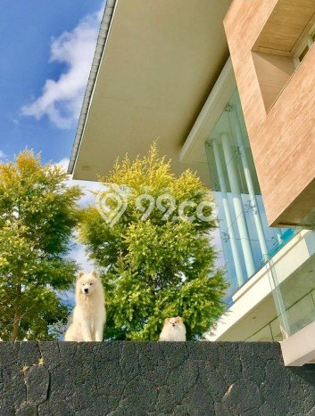 Hunian Elit LB 572m2 Siap Huni Desain Elegan di Dago Pakar, Bandung Hunian Elit LB 572m2 Siap Huni Desain Elegan di Dago Pakar, Bandung
