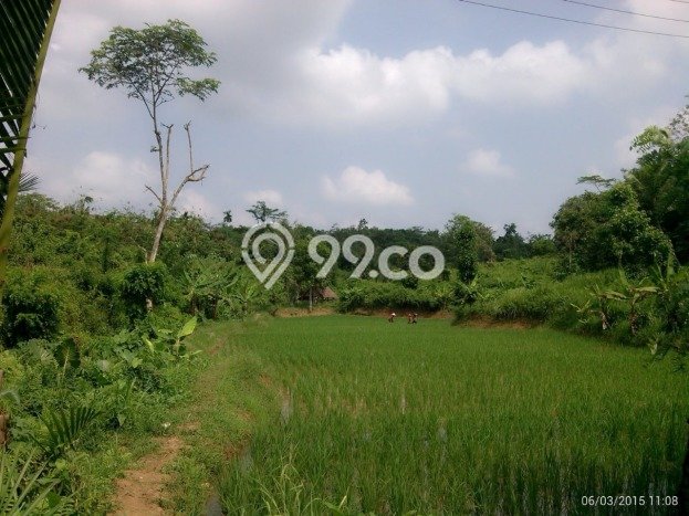 Tanah Kavling untuk Dijual di Pangkalan Banteng Kota Waringin Barat 62040m2 Tanah Kavling untuk Dijual di Pangkalan Banteng Kota Waringin Barat 62040m2