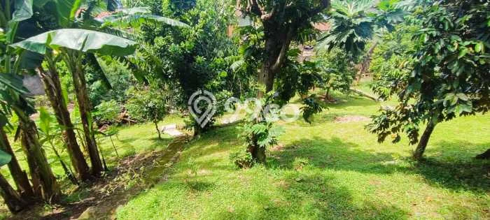 Tanah di Jagakarsa, Jakarta Selatan Luas 1500m2 Dijual Segera Tanah di Jagakarsa, Jakarta Selatan Luas 1500m2 Dijual Segera