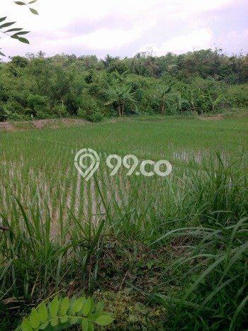 Tanah Kavling untuk Dijual di Pangkalan Banteng Kota Waringin Barat 62040m2 Tanah Kavling untuk Dijual di Pangkalan Banteng Kota Waringin Barat 62040m2