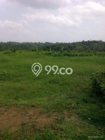 Tanah Kavling untuk Dijual di Pangkalan Banteng Kota Waringin Barat 62040m2 Tanah Kavling untuk Dijual di Pangkalan Banteng Kota Waringin Barat 62040m2
