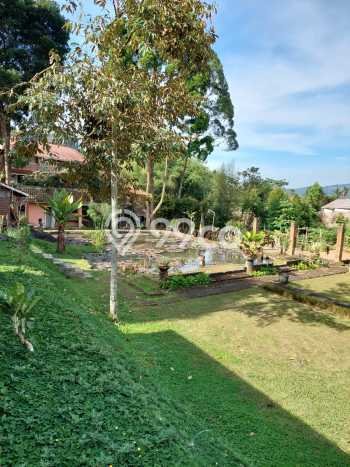 PELUANG INVESTASI! Vila di Cipanas, Area 5811m2m², Prospek Menjanjikan PELUANG INVESTASI! Vila di Cipanas, Area 5811m2m², Prospek Menjanjikan