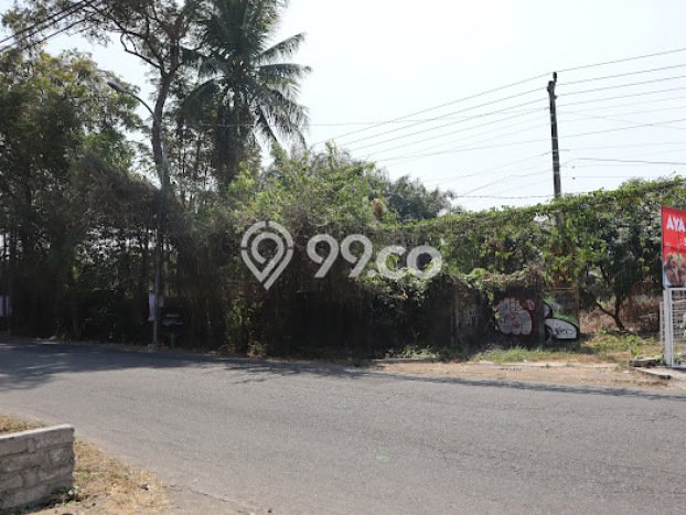 Tanah Kavling di Ngemplak Dijual dengan Luas 4513m2 Tanah Kavling di Ngemplak Dijual dengan Luas 4513m2
