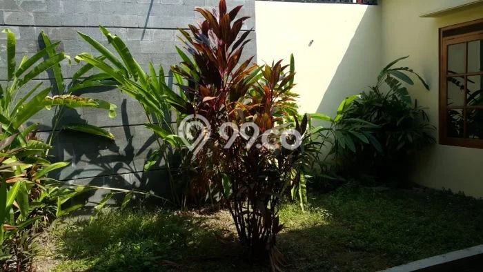 Hunian Eksklusif Dijual LT 350m2 di Kasihan, Bantul Hunian Eksklusif Dijual LT 350m2 di Kasihan, Bantul