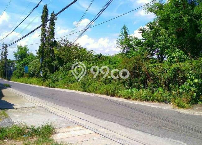 Tanah Kavling di Kasihan Bantul Disewakan dengan Luas 6000m2 Tanah Kavling di Kasihan Bantul Disewakan dengan Luas 6000m2