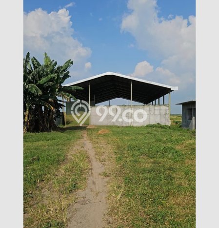 Tanah Kavling di Wonosalam Dijual dengan Luas 24547m2 Tanah Kavling di Wonosalam Dijual dengan Luas 24547m2