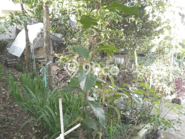 Rumah Lokasi Strategis di Coblong, Bandung, LT 827m2m² LB 250m2m² Rumah Lokasi Strategis di Coblong, Bandung, LT 827m2m² LB 250m2m²