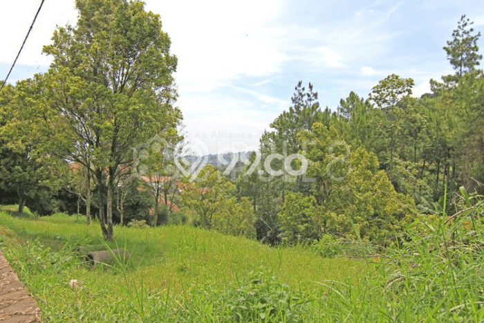 Jual Tanah di Coblong, Luas 1220m2m², Lingkungan Asri, Kontur Rata Jual Tanah di Coblong, Luas 1220m2m², Lingkungan Asri, Kontur Rata