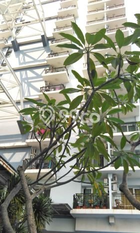 Siap Huni Apartemen di Jakarta Selatan 2 Kamar & 1 Kamar Mandi, Luas 66m2 Siap Huni Apartemen di Jakarta Selatan 2 Kamar & 1 Kamar Mandi, Luas 66m2