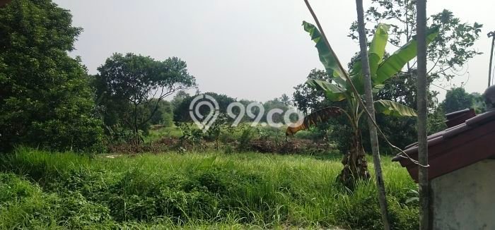 Tanah Kavling untuk Dijual di Parung Bogor 60000m2 Tanah Kavling untuk Dijual di Parung Bogor 60000m2