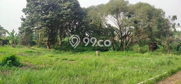 Tanah Kavling untuk Dijual di Parung Bogor 60000m2 Tanah Kavling untuk Dijual di Parung Bogor 60000m2