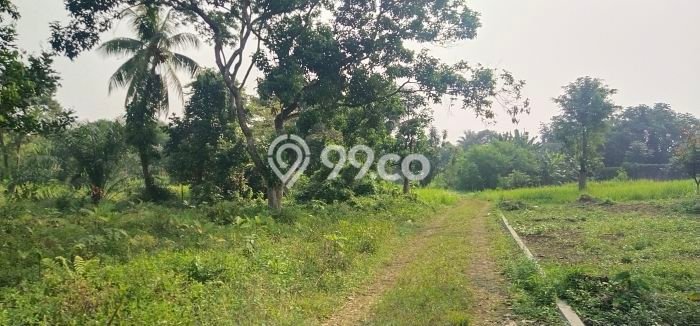 Tanah Kavling untuk Dijual di Parung Bogor 60000m2 Tanah Kavling untuk Dijual di Parung Bogor 60000m2