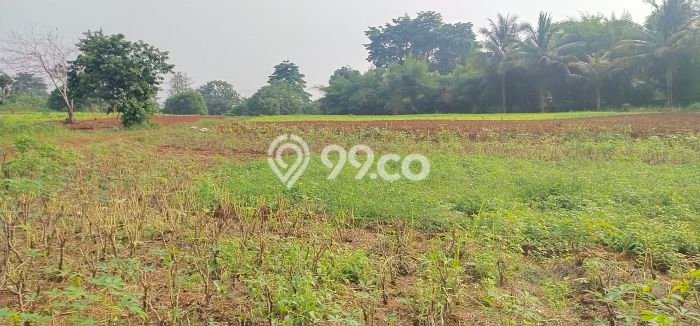 Tanah Dijual Lokasi Parung, Bogor Luas 60000m2 Legalitas Aman Tanah Dijual Lokasi Parung, Bogor Luas 60000m2 Legalitas Aman