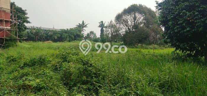 Tanah Dijual Lokasi Parung, Bogor Luas 60000m2 Legalitas Aman Tanah Dijual Lokasi Parung, Bogor Luas 60000m2 Legalitas Aman