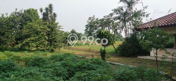 Tanah Dijual Lokasi Parung, Bogor Luas 60000m2 Legalitas Aman Tanah Dijual Lokasi Parung, Bogor Luas 60000m2 Legalitas Aman