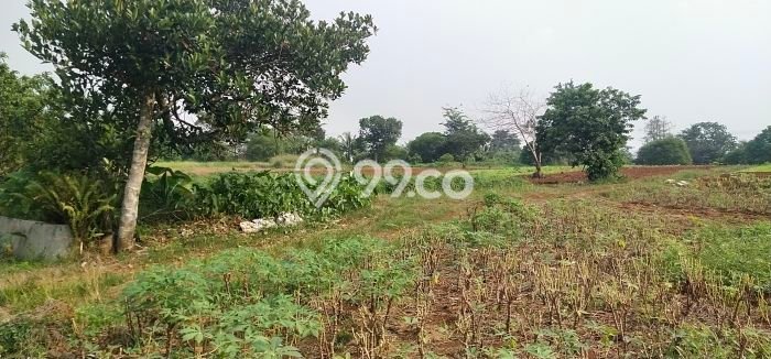 Tanah Dijual Lokasi Parung, Bogor Luas 60000m2 Legalitas Aman Tanah Dijual Lokasi Parung, Bogor Luas 60000m2 Legalitas Aman