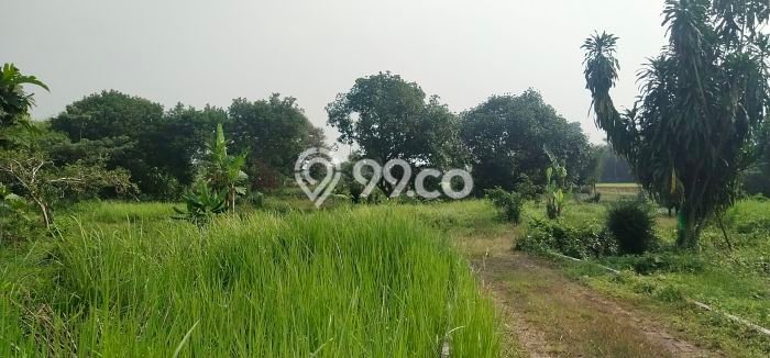 Tanah Dijual Lokasi Parung, Bogor Luas 60000m2 Legalitas Aman Tanah Dijual Lokasi Parung, Bogor Luas 60000m2 Legalitas Aman
