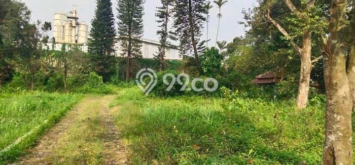 Tanah Dijual Lokasi Parung, Bogor Luas 60000m2 Legalitas Aman Tanah Dijual Lokasi Parung, Bogor Luas 60000m2 Legalitas Aman
