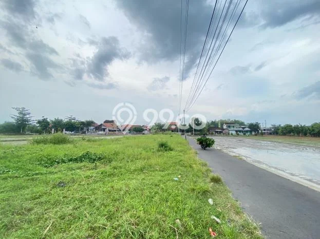 Jarang Ada! Tanah di Trucuk Punya Luas 96m2 SHM Jarang Ada! Tanah di Trucuk Punya Luas 96m2 SHM