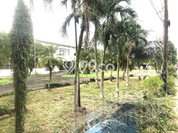 Tanah Dijual Lokasi Medan Johor, Medan Luas 40000m2 Legalitas Aman Tanah Dijual Lokasi Medan Johor, Medan Luas 40000m2 Legalitas Aman